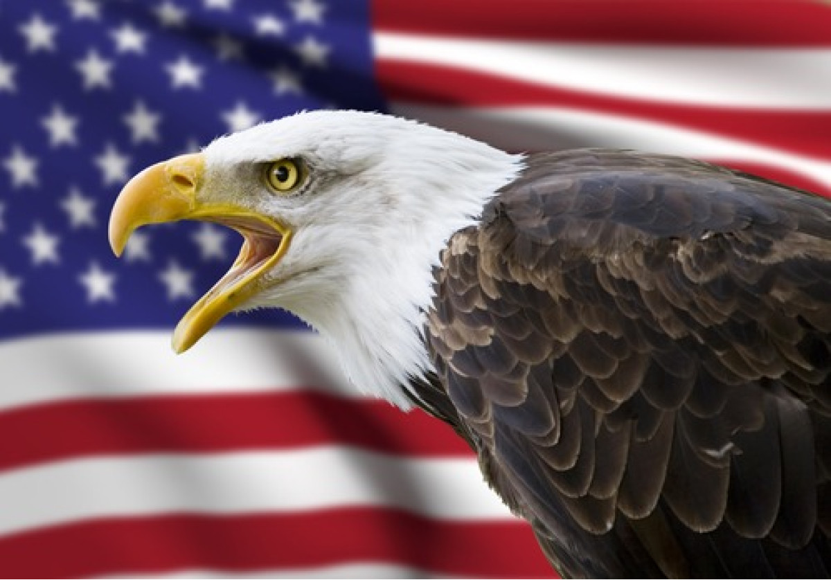 The American Eagle