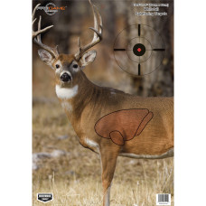 Birchwood Casey Pregame Target, Target With Visible Vitals, Deer,16.5x24, 3 Targets BC-35401 Birchwood Casey Pregame Target, Target With Visible Vitals, Deer,16.5x24, 3 Targets BC-35401